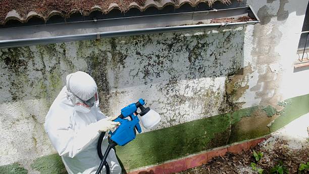 Top rated local Mold Inspection And Testing specialists in Douglas, GA